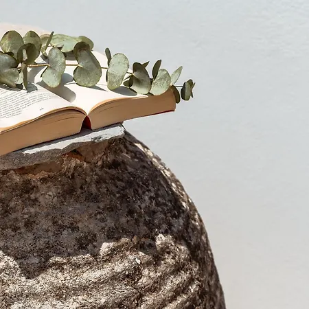 Kastro شقة Naxos City