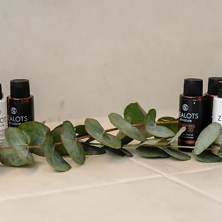 Kastro דירה Naxos City